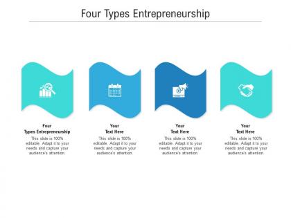 Four types entrepreneurship ppt powerpoint presentation infographics graphic images cpb