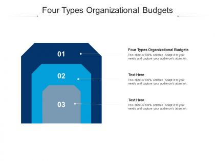 Four types organizational budgets ppt powerpoint presentation summary smartart cpb