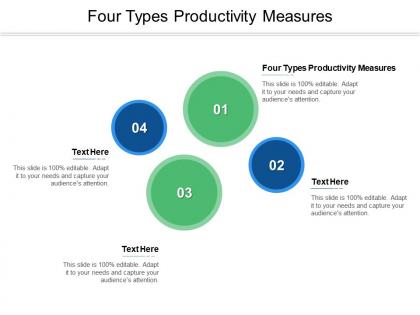 Four types productivity measures ppt powerpoint presentation show slide portrait cpb