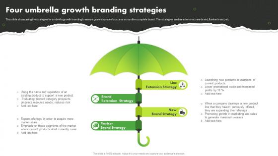 Four Umbrella Growth Branding Strategies