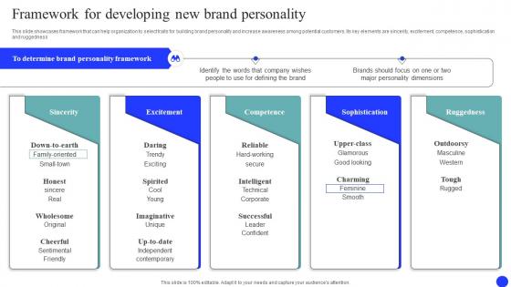 Framework For Developing New Brand Market And Launch Strategy MKT SS V