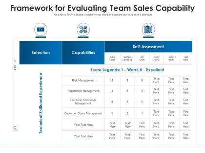 Framework for evaluating team sales capability