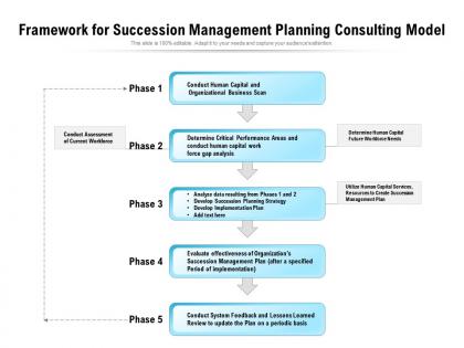 Framework for succession management planning consulting model