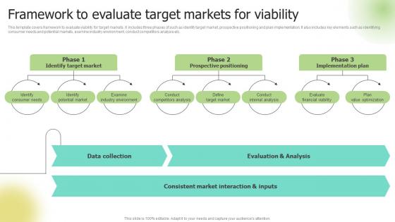 Framework To Evaluate Target Markets For Viability Selecting Target Markets And Target Market Strategies