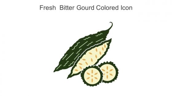 Fresh Bitter Gourd Colored Icon In Powerpoint Pptx Png And Editable Eps Format