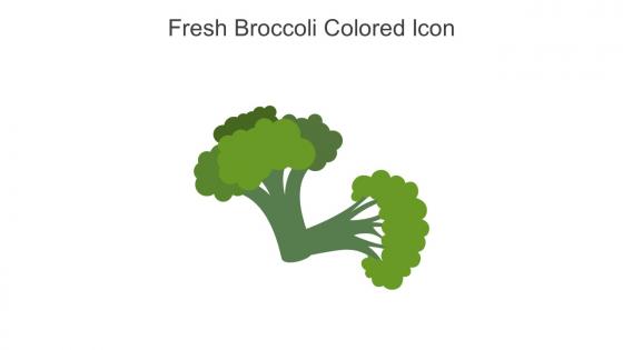 Fresh Broccoli Colored Icon In Powerpoint Pptx Png And Editable Eps Format