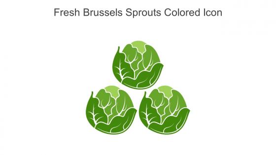 Fresh Brussels Sprouts Colored Icon In Powerpoint Pptx Png And Editable Eps Format