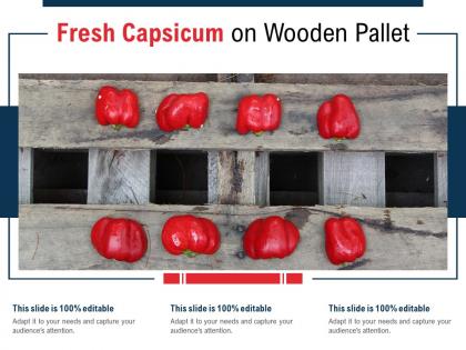 Fresh capsicum on wooden pallet