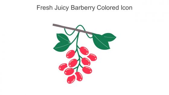 Fresh Juicy Barberry Colored Icon In Powerpoint Pptx Png And Editable Eps Format