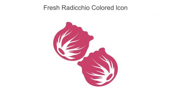 Fresh Radicchio Colored Icon In Powerpoint Pptx Png And Editable Eps Format