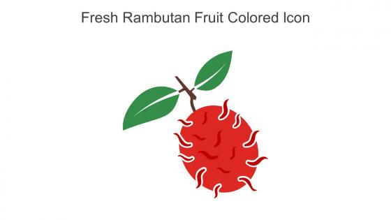 Fresh Rambutan Fruit Colored Icon In Powerpoint Pptx Png And Editable Eps Format