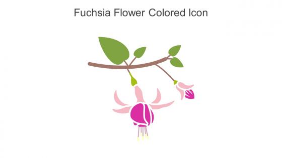 Fuchsia Flower Colored Icon In Powerpoint Pptx Png And Editable Eps Format