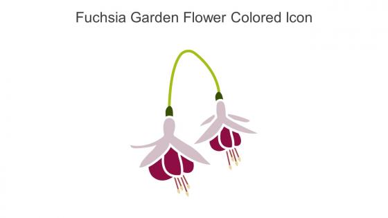 Fuchsia Garden Flower Colored Icon In Powerpoint Pptx Png And Editable Eps Format