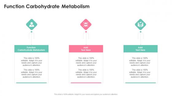 Function Carbohydrate Metabolism In Powerpoint And Google Slides Cpb