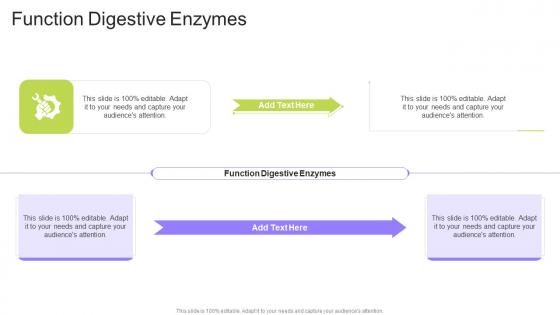 Function Digestive Enzymes In Powerpoint And Google Slides Cpb