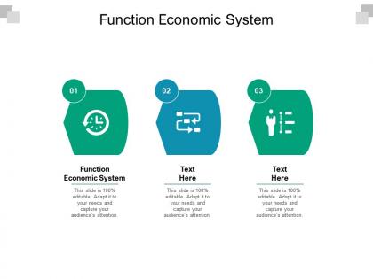 Function economic system ppt powerpoint presentation infographic template ideas cpb