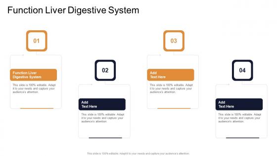 Function Liver Digestive System In Powerpoint And Google Slides Cpb