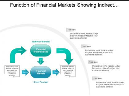 Function of financial markets showing indirect and direct finance