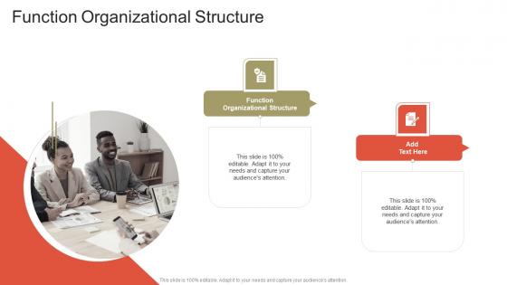 Function Organizational Structure In Powerpoint And Google Slides Cpb