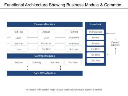 Functional architecture showing business module and common module
