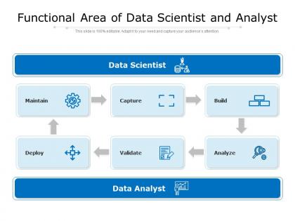 Functional area of data scientist and analyst