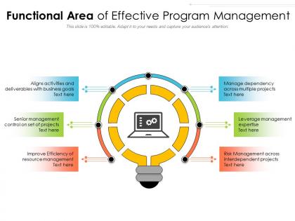 Functional area of effective program management