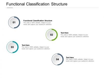 Functional classification structure ppt powerpoint presentation visuals cpb