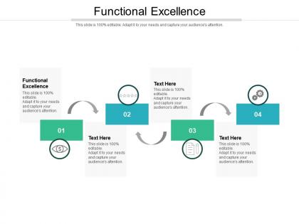 Functional excellence ppt powerpoint presentation infographic template icon cpb