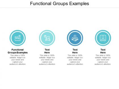 Functional groups examples ppt powerpoint presentation model templates cpb