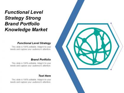 Functional level strategy strong brand portfolio knowledge market