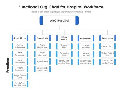 Functional org chart for hospital workforce