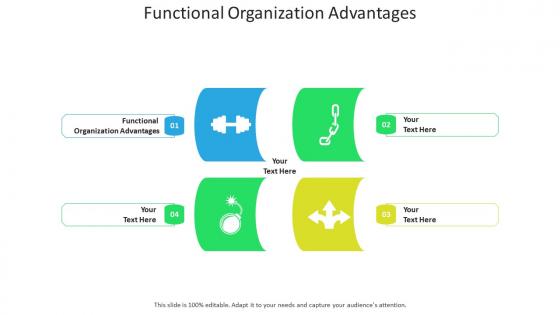 Functional organization advantages ppt powerpoint presentation themes cpb