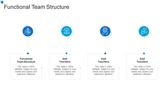 Functional Team Structure In Powerpoint And Google Slides Cpb