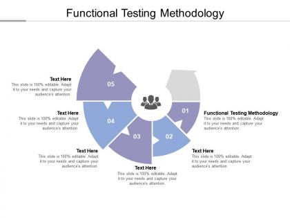 Functional testing methodology ppt powerpoint presentation infographic template visuals cpb