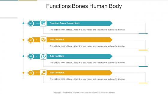 Functions Bones Human Body In Powerpoint And Google Slides Cpb