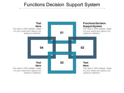 Functions decision support system ppt powerpoint presentation slides portrait cpb
