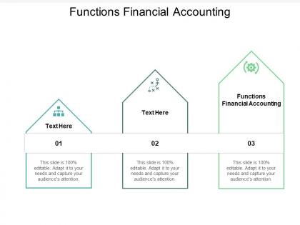 Functions financial accounting ppt powerpoint presentation portfolio master slide cpb