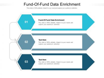 Fund of fund data enrichment ppt powerpoint presentation example 2015