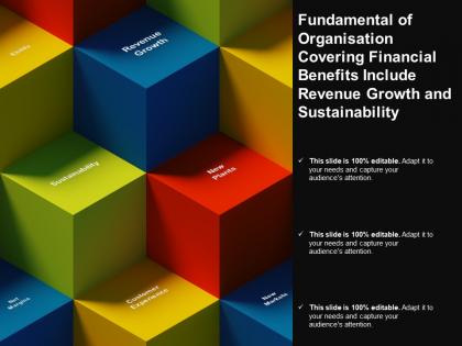 Fundamental of organisation covering financial benefits include revenue growth and sustainability