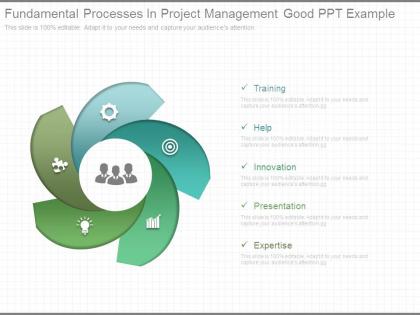 Fundamental processes in project management good ppt example