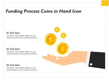 Funding process coins in hand icon