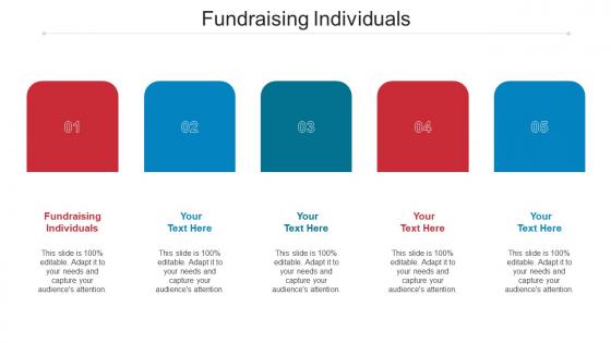 Fundraising Individuals Ppt Powerpoint Presentation Visual Aids Cpb