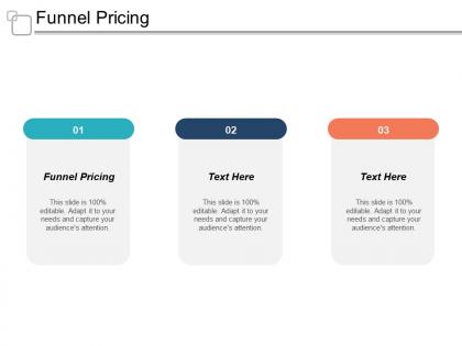 Funnel pricing ppt powerpoint presentation file graphics design cpb