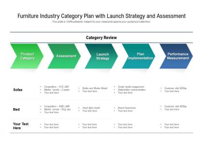 Furniture industry category plan with launch strategy and assessment