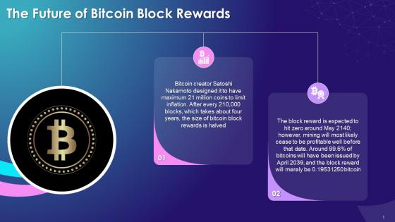Future Of Bitcoin Block Rewards Training Ppt