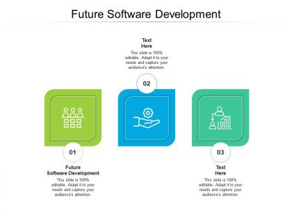 Future software development ppt powerpoint presentation pictures examples cpb