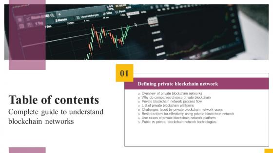 G189 Table Of Contents Complete Guide To Understand Blockchain Networks BCT SS