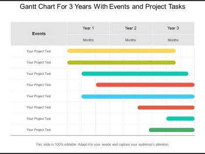 Gantt chart for 3 years with events and project tasks