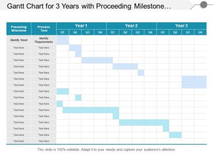 Gantt chart for 3 years with proceeding milestone and process task