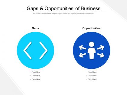 Gaps and opportunities of business